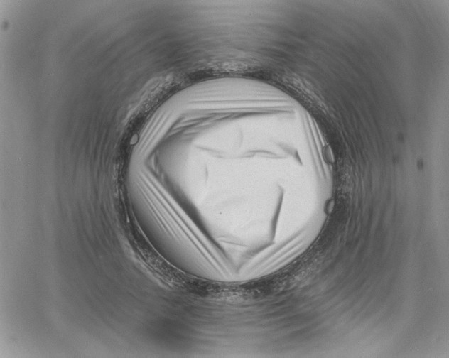 X0000066020738200603241534