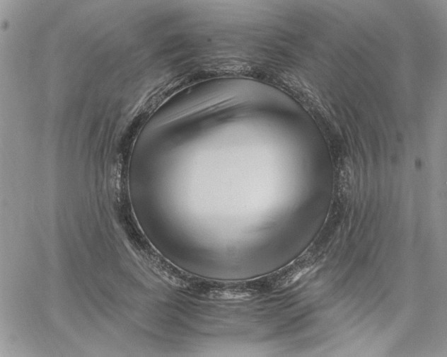 X0000066020739200603241534