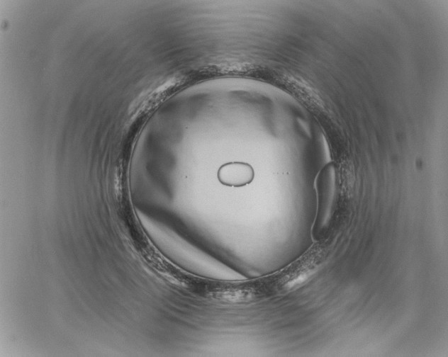 X0000066020740200603241535