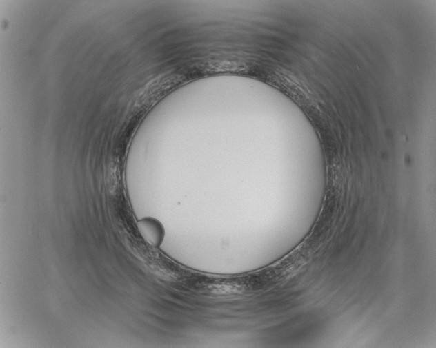 X0000066020741200603241535