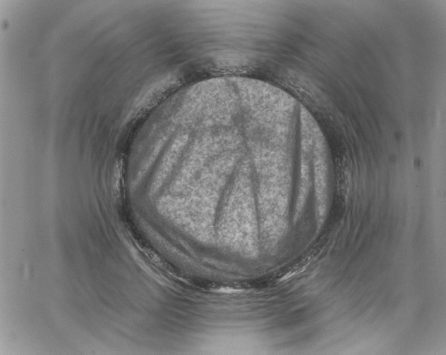 X0000066020742200603241535