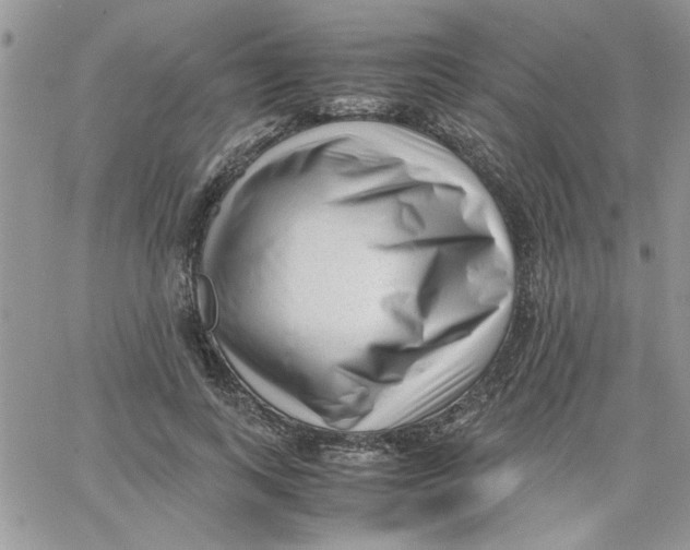 X0000066020743200603241535