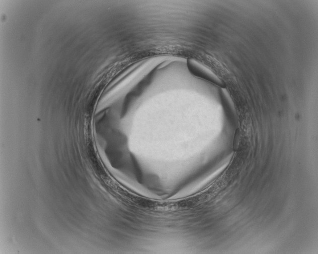 X0000066020744200603241535