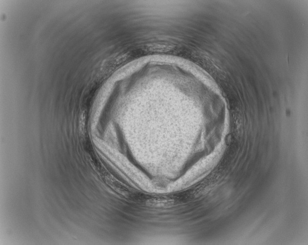 X0000066020745200603241535