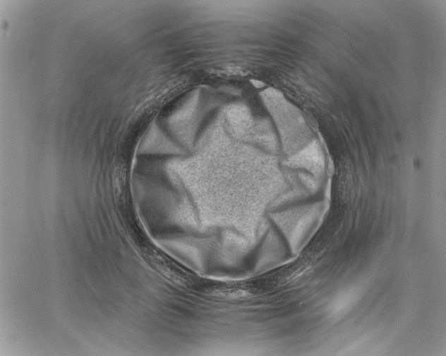 X0000066020747200603241535