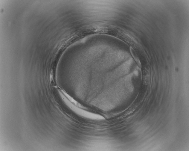 X0000066020748200603241535