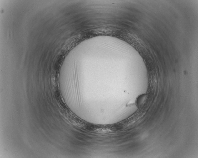 X0000066020749200603241535