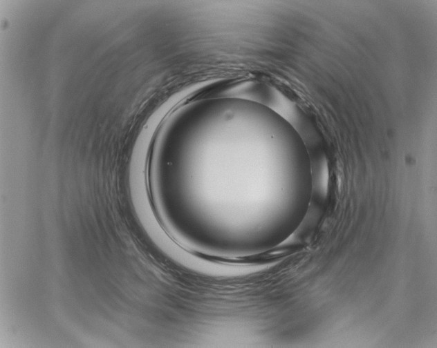 X0000066020750200603241535