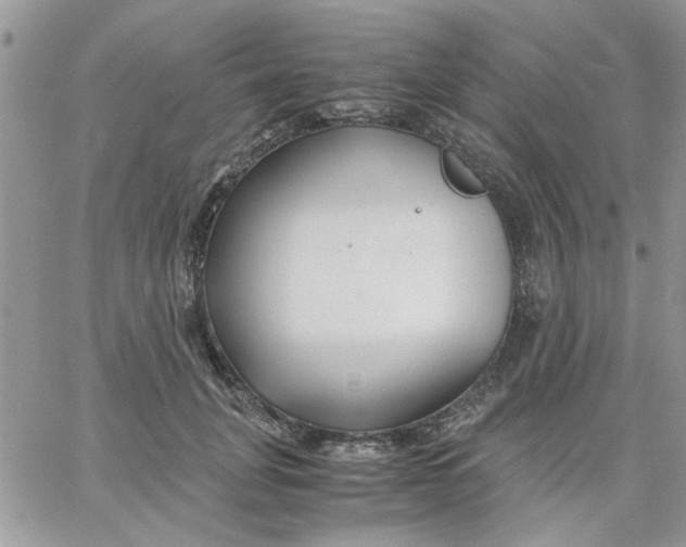 X0000066020751200603241535