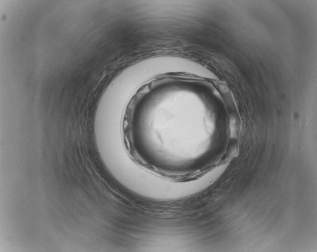 X0000066020752200603241535