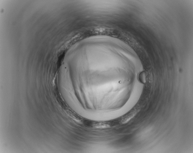 X0000066020754200603241535