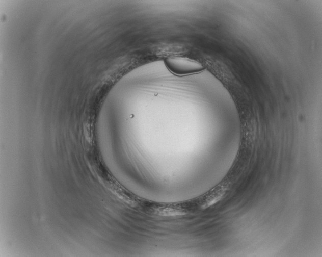 X0000066020755200603241535