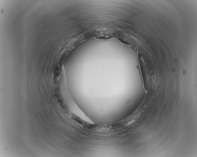 X0000066020756200603241535