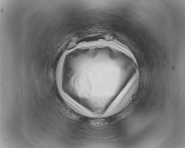 X0000066020761200603241535