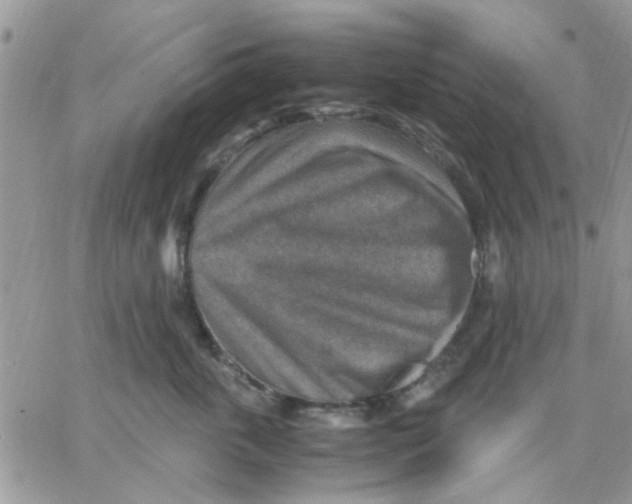 X0000066020763200603241535