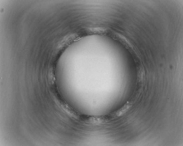 X0000066020764200603241535