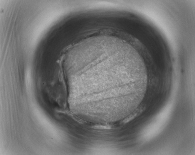 X0000066020765200603241535