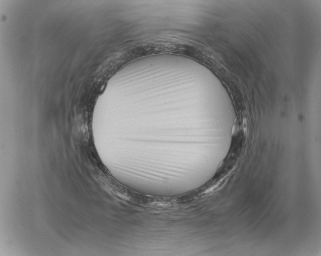 X0000066020771200603241534