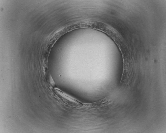 X0000066020773200603241534