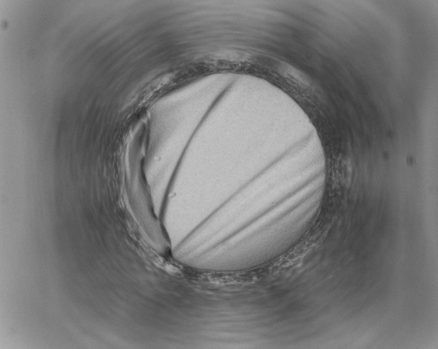 X0000066020774200603241534