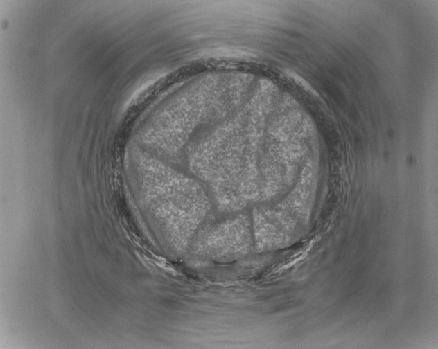 X0000066020775200603241534