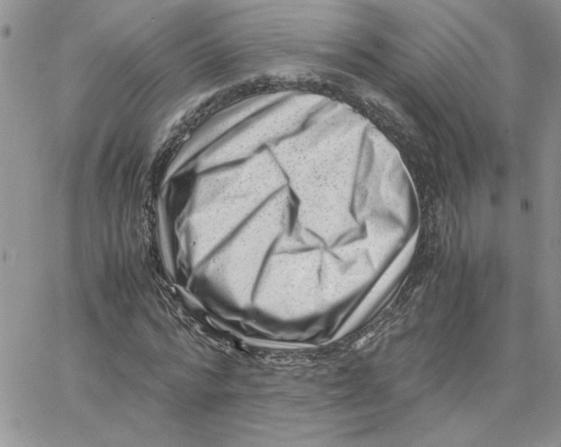 X0000066020776200603241534