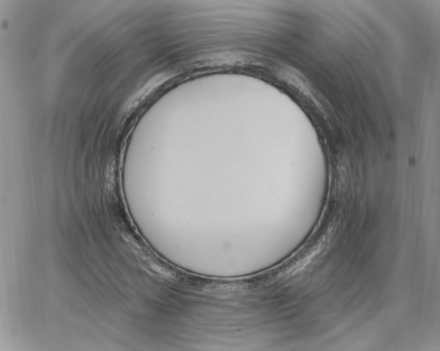 X0000066020778200603241534