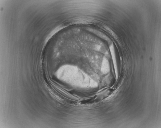 X0000066020779200603241534