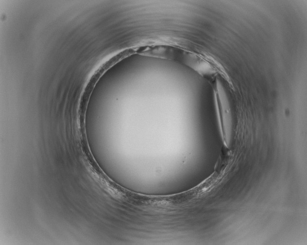 X0000066020784200603241534