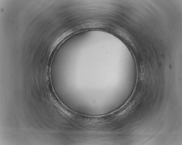 X0000066020786200603241534