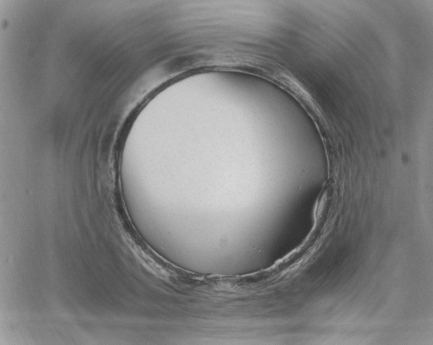 X0000066020787200603241534