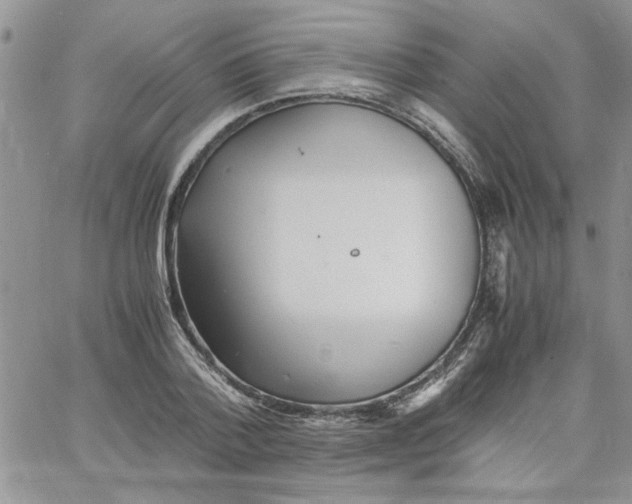 X0000066020788200603241534