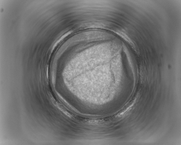 X0000066020790200603241534