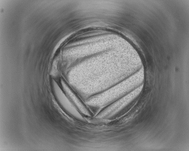 X0000066020791200603241534