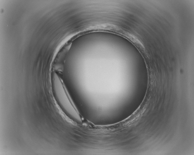 X0000066020792200603241534