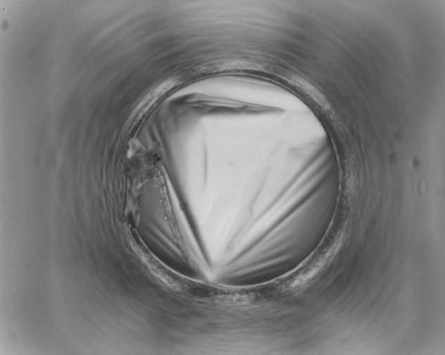 X0000066020793200603241534