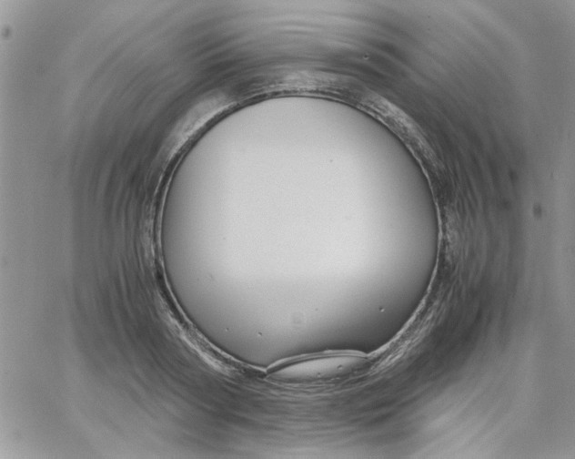 X0000066020794200603241534