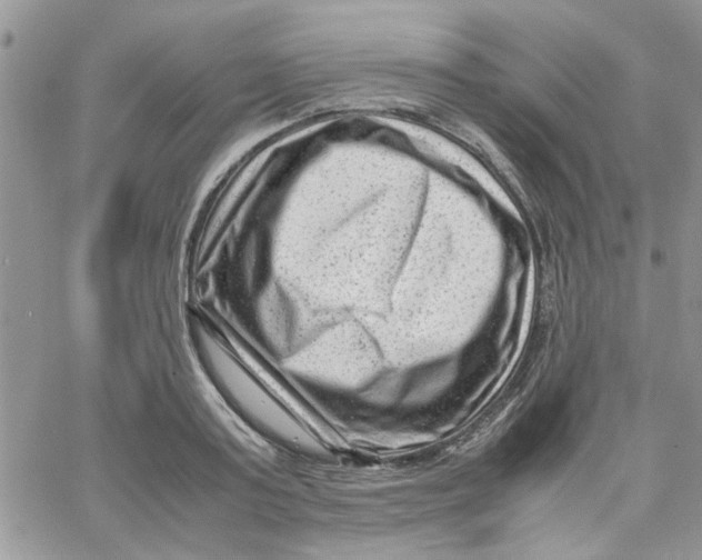 X0000066020795200603241534