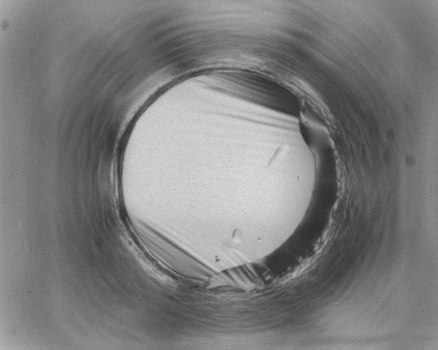 X0000066020796200603241534