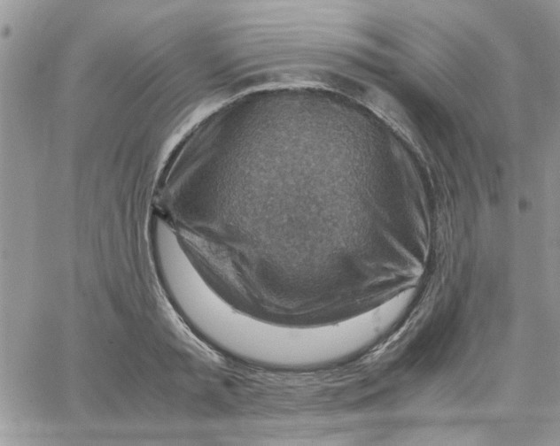 X0000066020797200603241534