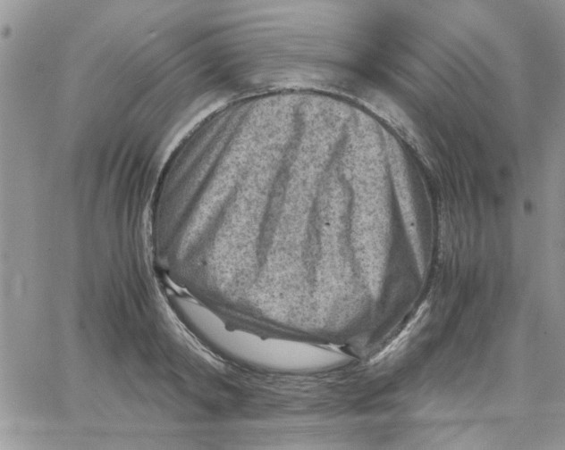 X0000066020798200603241534