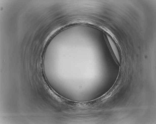 X0000066020799200603241534