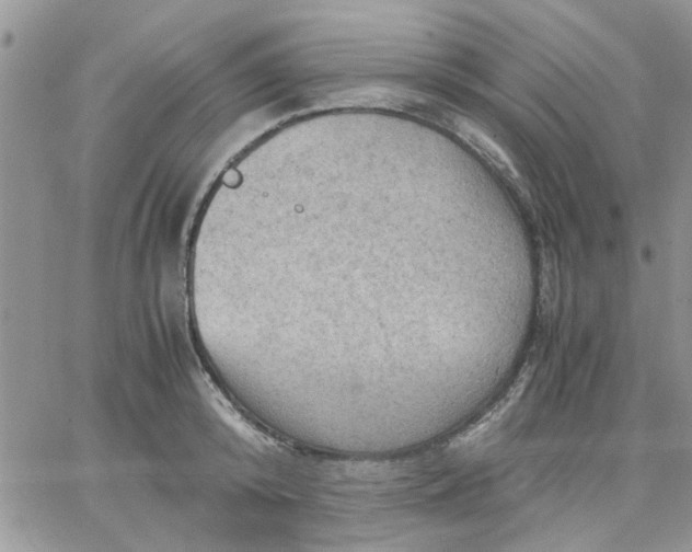 X0000066020800200603241534