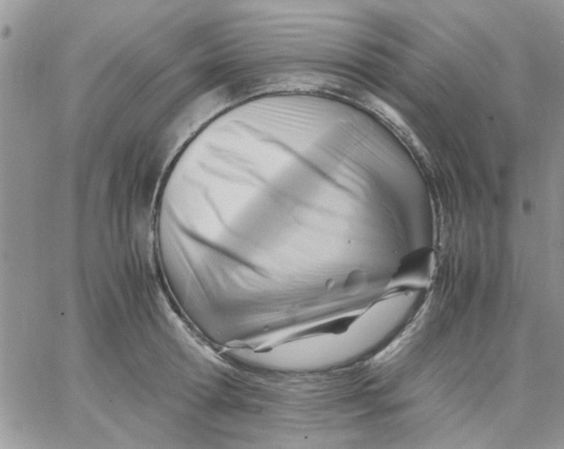 X0000066020802200603241534