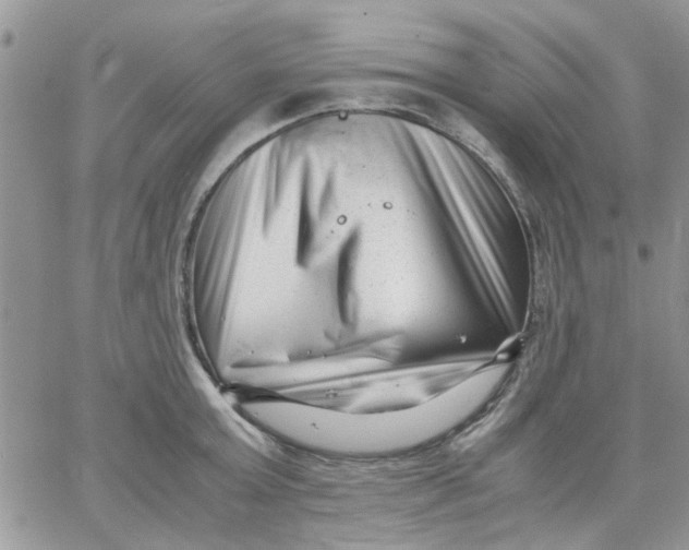 X0000066020803200603241534