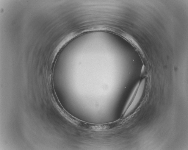 X0000066020805200603241534