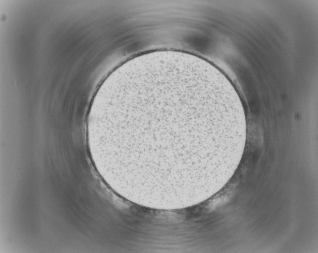 X0000066020807200603241534