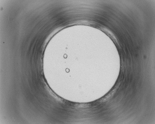 X0000066020808200603241534