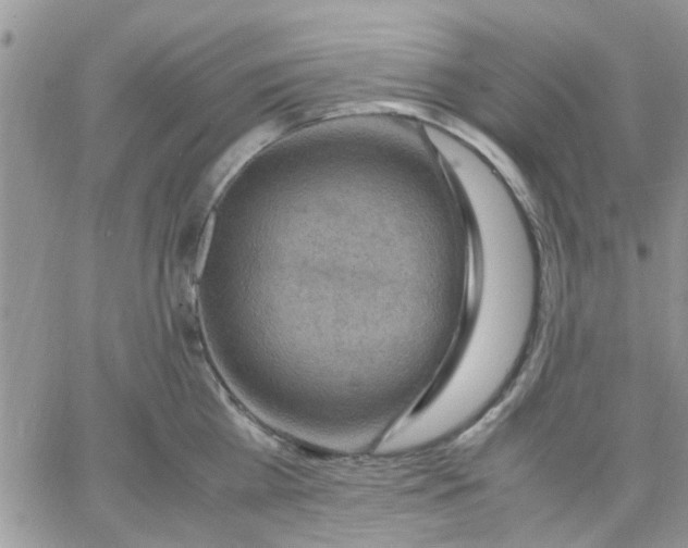 X0000066020809200603241534