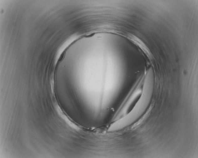 X0000066020812200603241533